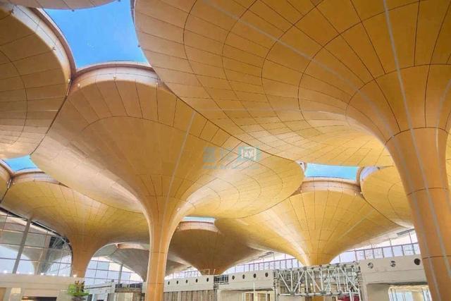 1746266902671678.jpg 202505020849441.jpg